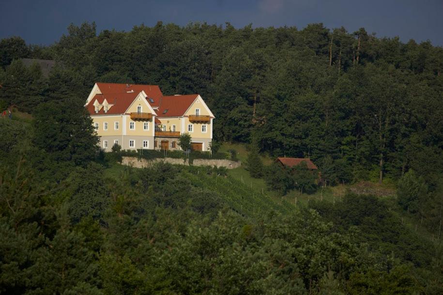Ferienwohnung Winzerhaus Friedrich Kaindorf  Exterior foto